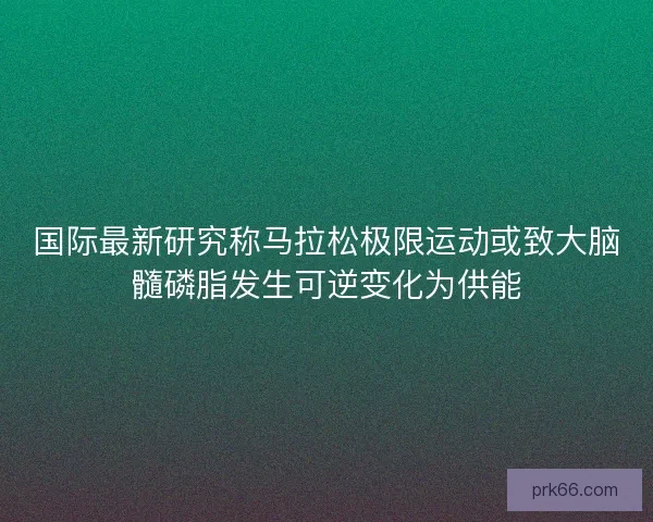 国际最新研究称马拉松极限运动或致大脑髓磷脂发生可逆变化为供能
